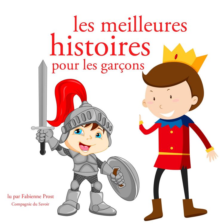 Produktbild: Les meilleures histoires pour les garcons