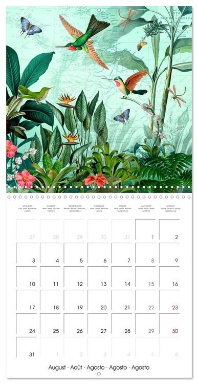 Produktbild: Lovely hummingbirds (Wall Calendar 2026 12 &times; 12 Inch) CALVENDO 12 Month Wall Calendar