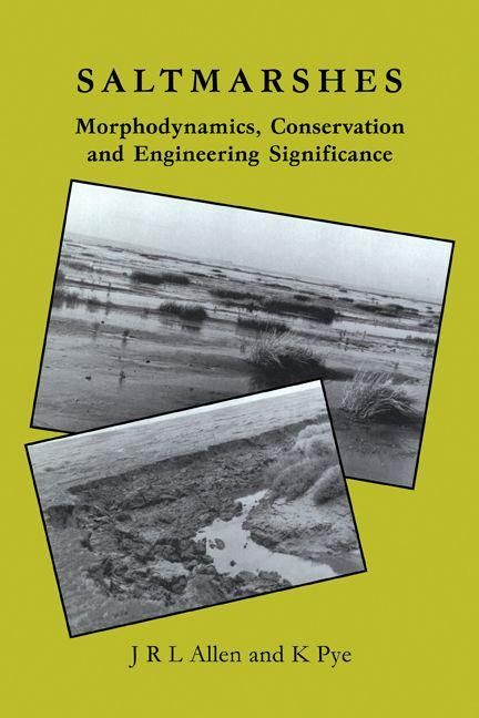 Produktbild: Saltmarshes