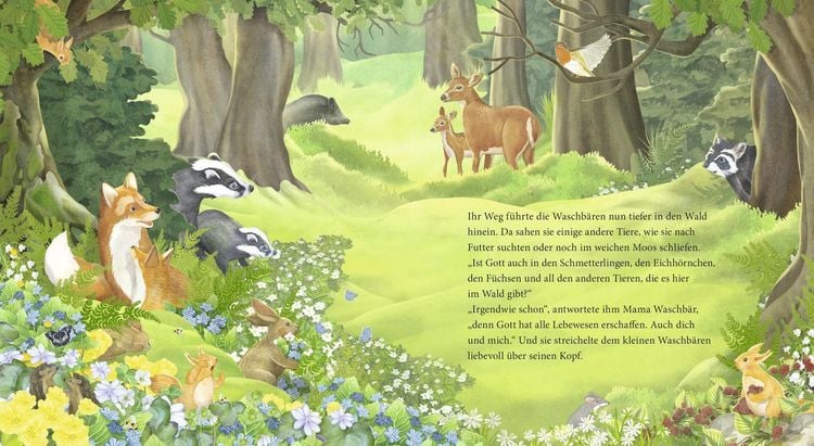 Produktbild: Der kleine Waschb&auml;r fragt nach Gott &ndash; ein Bilderbuch f&uuml;r Kinder ab 2 Jahren