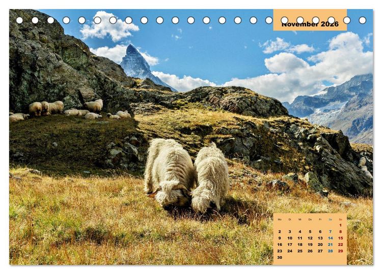 Produktbild: WANDERN &uuml;ber Stock und Stein in der Schweiz (Tischkalender 2026 DIN A5 quer), CALVENDO Monatskalender