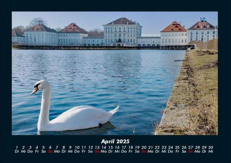 Produktbild: Welt der Tiere 2025 Fotokalender DIN A4