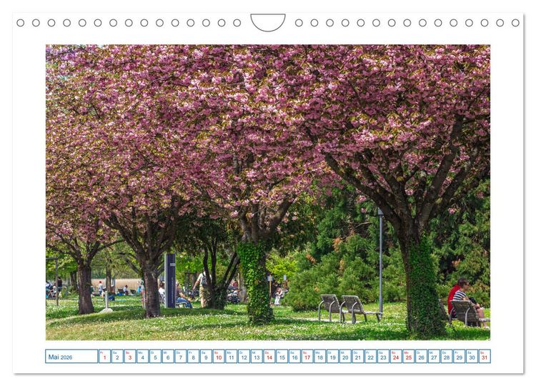 Produktbild: Bodman - sch&ouml;ner kleiner Ort direkt am Bodensee (Wandkalender 2026 DIN A4 quer), CALVENDO Monatskalender