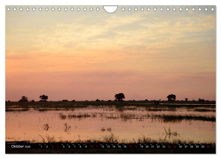 Produktbild: Faszination Botswana (Wandkalender 2026 DIN A4 quer), CALVENDO Monatskalender