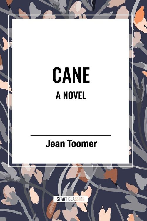 Produktbild: Cane a Novel