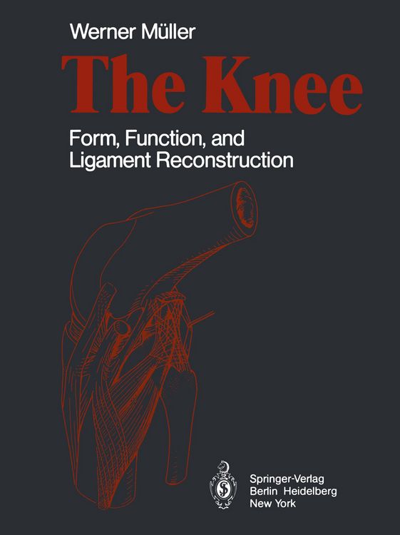 Produktbild: The Knee