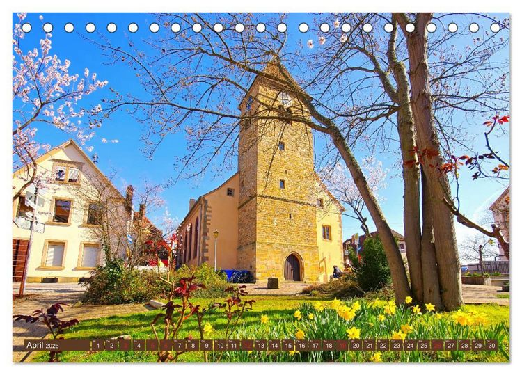 Produktbild: Gimmeldingen - Mandelbl&uuml;tenfest an der Deutschen Weinstra&szlig;e (Tischkalender 2026 DIN A5 quer), CALVENDO Monatskalender