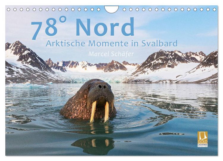 Produktbild: 78&deg; Nord - Arktische Momente in Svalbard (Wandkalender 2026 DIN A4 quer), CALVENDO Monatskalender