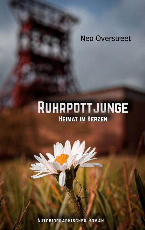 Produktbild: Ruhrpottjunge