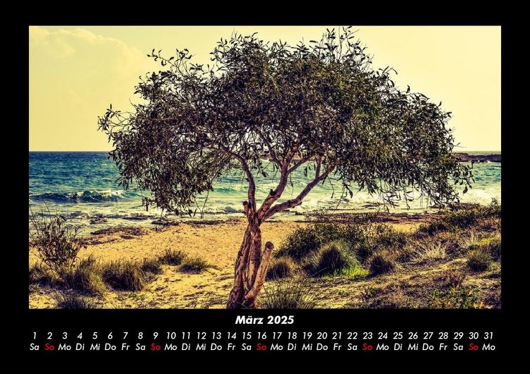 Produktbild: B&auml;ume 2025 Fotokalender DIN A3