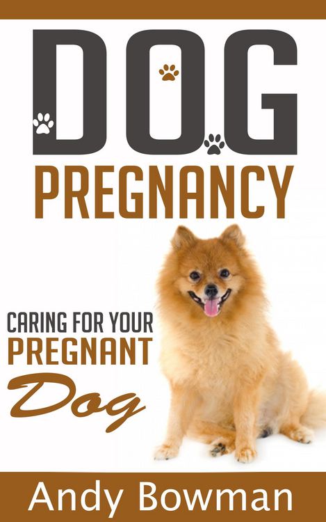 Produktbild: Dog Pregnancy - Caring For Your Dog