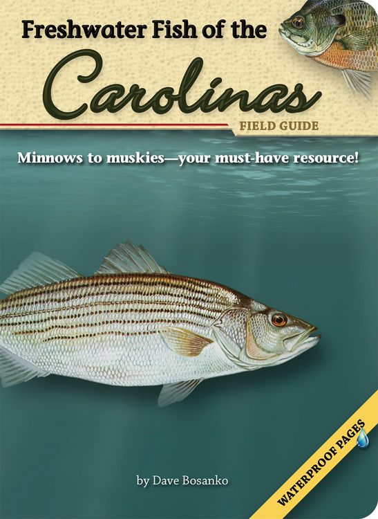 Produktbild: Freshwater Fish of the Carolinas Field Guide