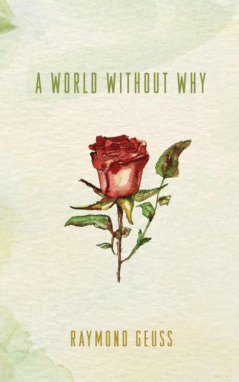 Produktbild: A World without Why