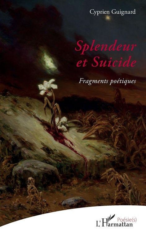 Produktbild: Splendeur et Suicide