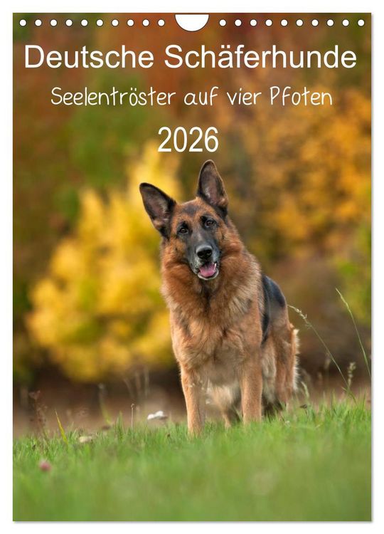Produktbild: Deutsche Sch&auml;ferhunde - Seelentr&ouml;ster auf vier Pfoten (Wandkalender 2026 DIN A4 hoch), CALVENDO Monatskalender