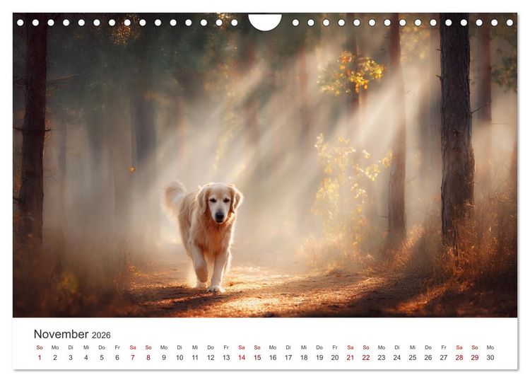 Produktbild: Herz aus Gold - Retriever zum Verlieben (Wandkalender 2026 DIN A4 quer), CALVENDO Monatskalender