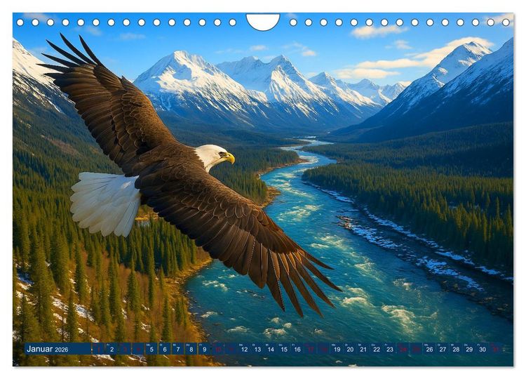 Produktbild: &Uuml;ber dem Vogelflug (Wandkalender 2026 DIN A4 quer), CALVENDO Monatskalender
