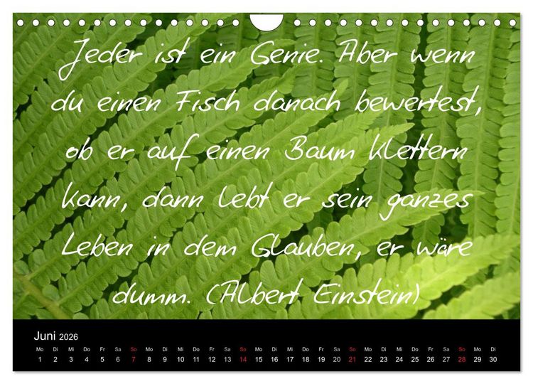 Produktbild: Positiv durch&acute;s Jahr (Wandkalender 2026 DIN A4 quer), CALVENDO Monatskalender