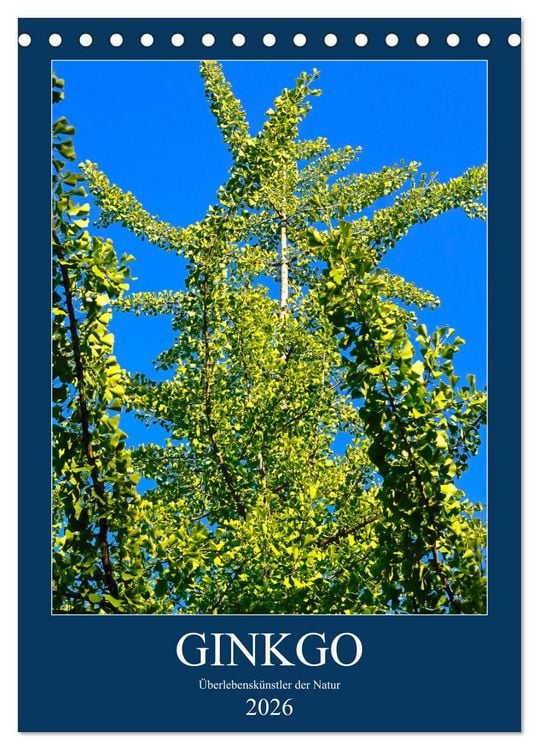 Produktbild: Ginkgo (Tischkalender 2026 DIN A5 hoch), CALVENDO Monatskalender
