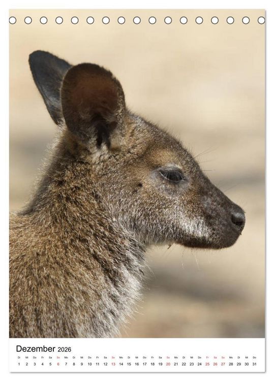 Produktbild: Australien - Hilfe f&uuml;r die einzigartige Tierwelt (Tischkalender 2026 DIN A5 hoch), CALVENDO Monatskalender