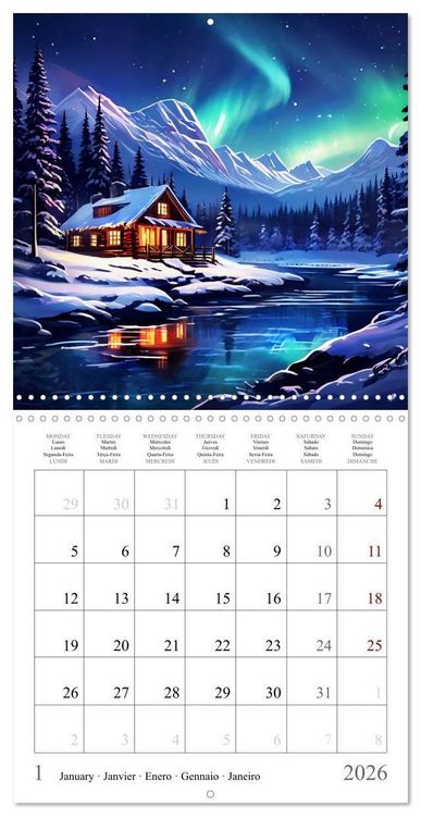 Produktbild: Bilkova, H: Magic Forest - Vacation (Wall Calendar 2026 12 &times;