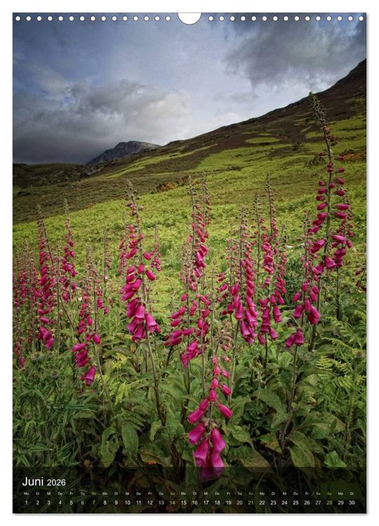 Produktbild: Traumhaftes Schottland (Wandkalender 2026 DIN A3 hoch), CALVENDO Monatskalender
