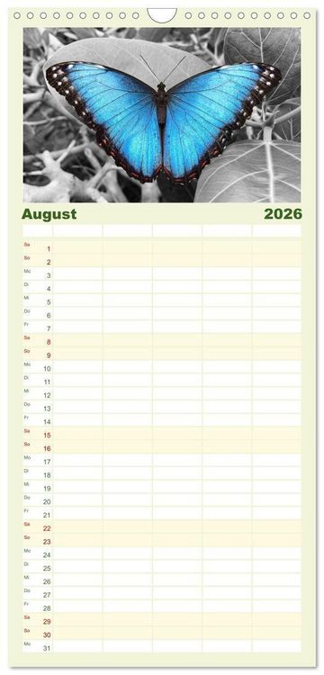 Produktbild: Familienplaner 2026 - Gefl&uuml;gelte Sch&ouml;nheiten der Tropen mit 5 Spalten (Wandkalender, 21 x 45 cm) CALVENDO