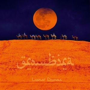 Produktbild: Lunar Dunes (Ltd.Gtf.180g Transparent Orange LP))