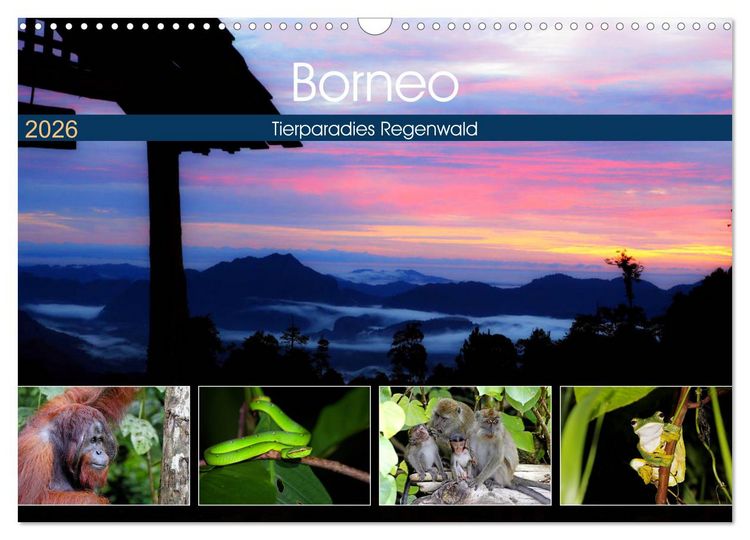 Produktbild: Borneo - Tierparadies Regenwald (Wandkalender 2026 DIN A3 quer), CALVENDO Monatskalender