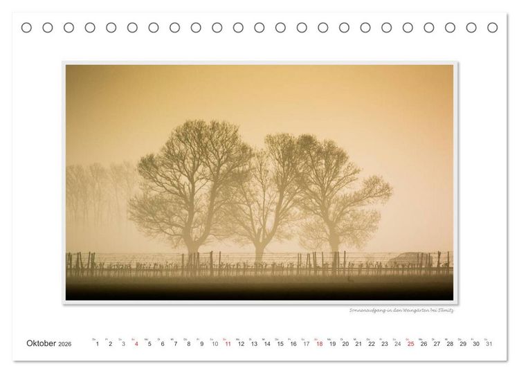 Produktbild: Neusiedler See / CH-Version (Tischkalender 2026 DIN A5 quer), CALVENDO Monatskalender