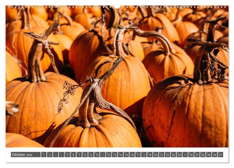 Produktbild: Der Westen der USA (hochwertiger Premium Wandkalender 2026 DIN A2 quer), Kunstdruck in Hochglanz