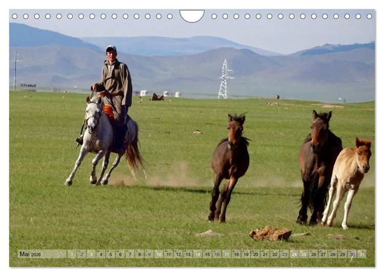 Produktbild: Pferde und Reiter der Mongolei (Wandkalender 2026 DIN A4 quer), CALVENDO Monatskalender