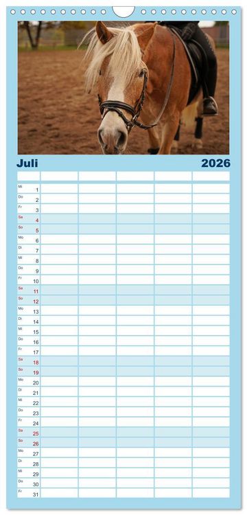 Produktbild: Familienplaner 2026 - Faszination Haflinger mit 5 Spalten (Wandkalender, 21 x 45 cm) CALVENDO