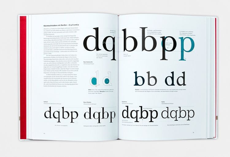 Produktbild: Anatomie der Buchstaben