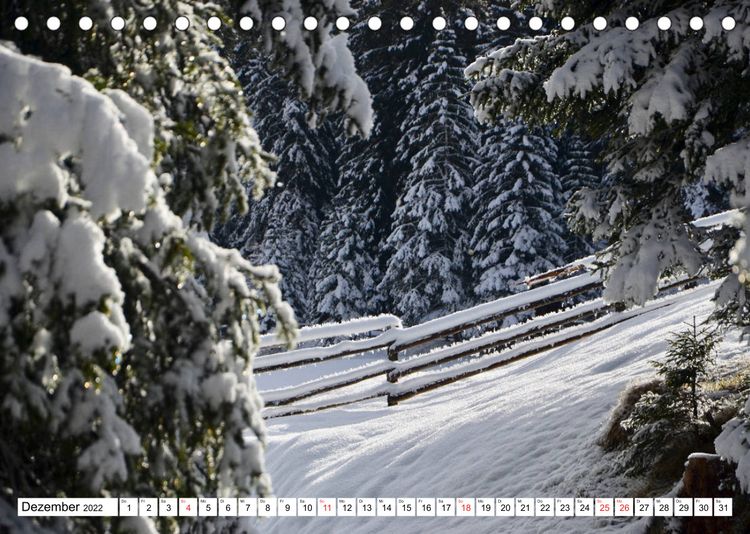 Produktbild: B&auml;ume in Italien (Tischkalender 2022 DIN A5 quer)