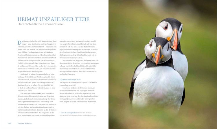Produktbild: Unsere Meere &ndash; Naturwunder Nord- und Ostsee