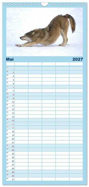 Produktbild: Familienplaner 2027 - Kanadische W&ouml;lfe im Winter mit 5 Spalten (Wandkalender, 21 x 45 cm) CALVENDO