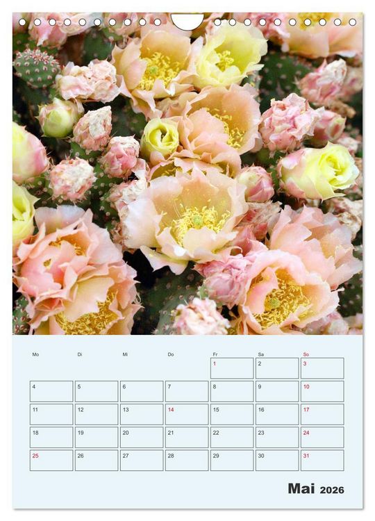 Produktbild: Wehrhafte Sukkulenten (Wandkalender 2026 DIN A4 hoch), CALVENDO Monatskalender
