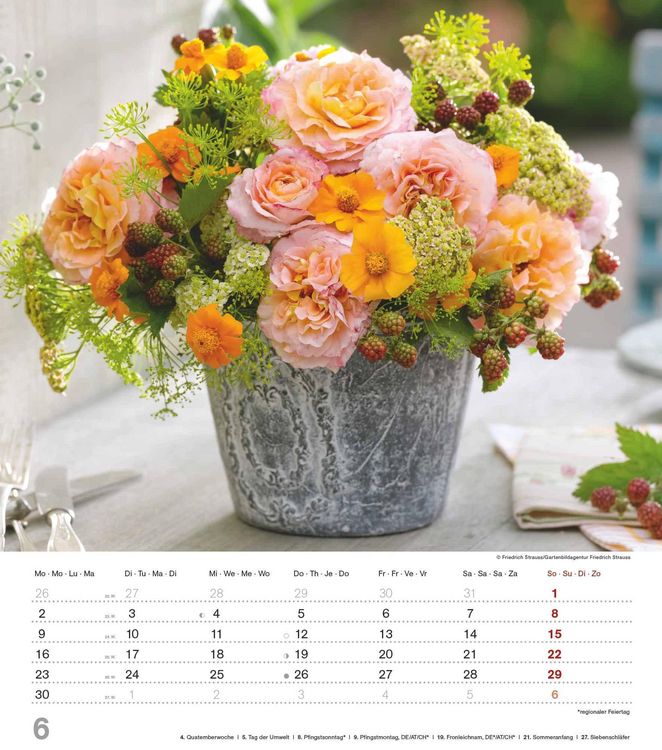 Produktbild: Alpha Edition - Der Duft der Rosen 2025 Bildkalender, 30,x34cm, Kalender mit sch&ouml;nen Bildmotiven f&uuml;r jeden Monat, Monats&uuml;bersicht, Feiertage DE/AT/CH und internationales Kalendarium