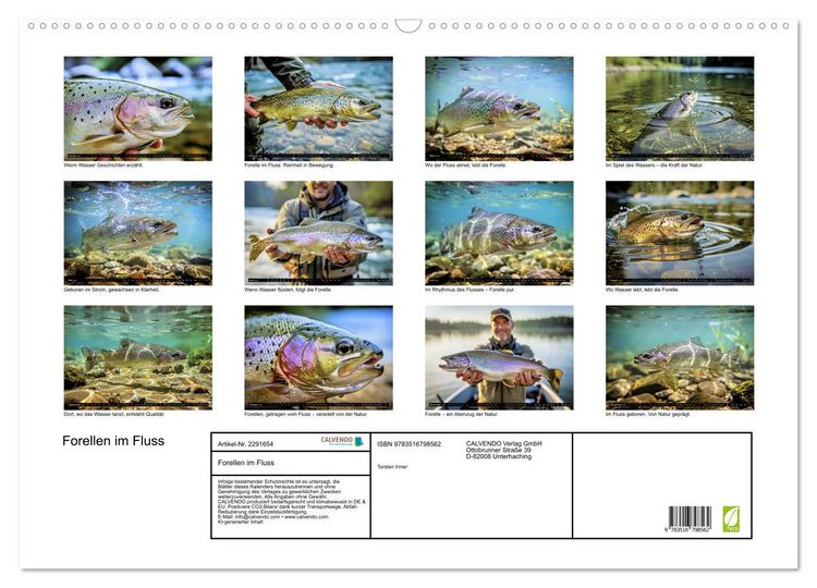 Produktbild: Forellen im Fluss (Wandkalender 2027 DIN A2 quer), CALVENDO Monatskalender