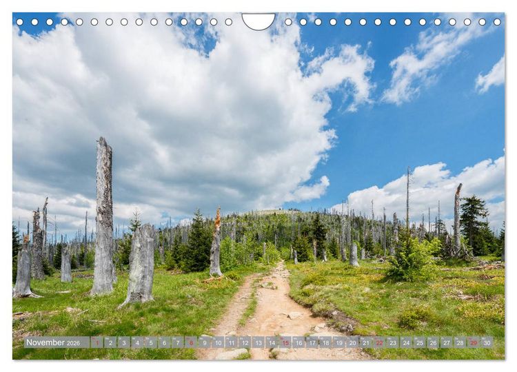 Produktbild: Mein Niederbayern (Wandkalender 2026 DIN A4 quer), CALVENDO Monatskalender