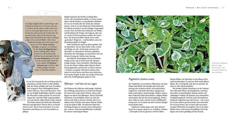 Produktbild: Pflanzeng&ouml;ttinnen und ihre Heilkr&auml;uter