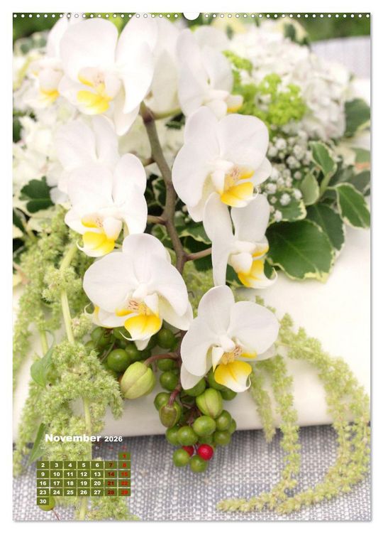 Produktbild: Orchideensch&auml;tze (hochwertiger Premium Wandkalender 2026 DIN A2 hoch), Kunstdruck in Hochglanz