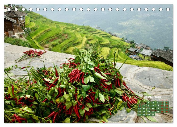 Produktbild: Riz de Chine (Calendrier de bureau 2026 DIN A5 vertical), CALVENDO calendrier mensuel