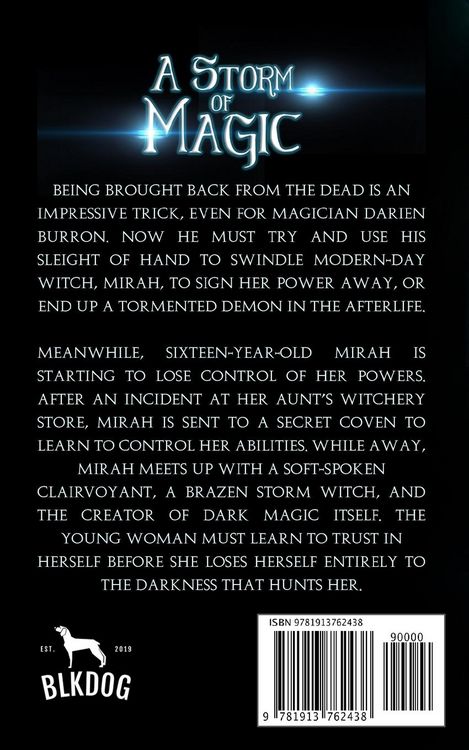 Produktbild: A Storm of Magic
