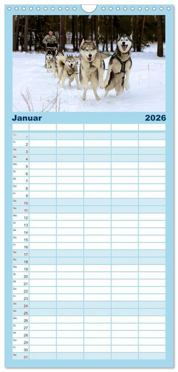 Produktbild: Familienplaner 2026 - Huskies! mit 5 Spalten (Wandkalender, 21 x 45 cm) CALVENDO