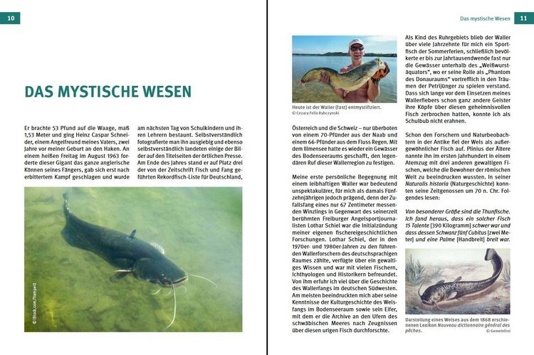 Produktbild: Welse - Giganten unserer Gew&auml;sser
