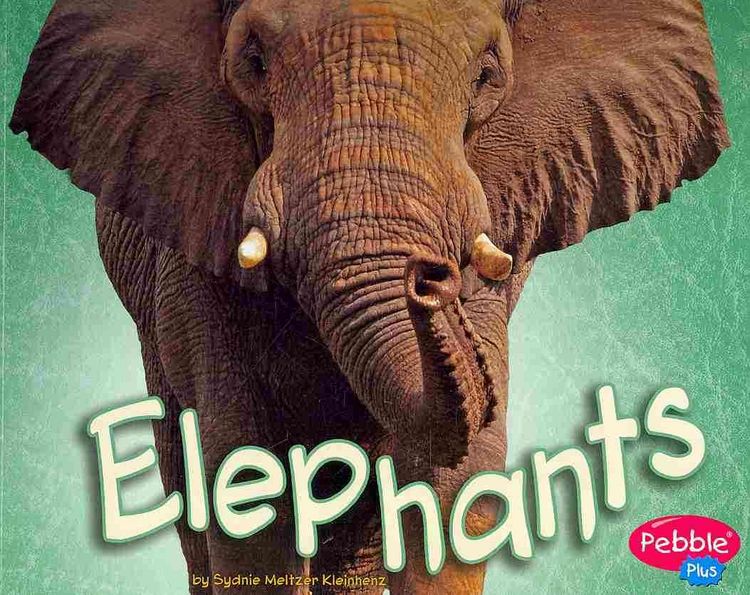 Produktbild: Elephants