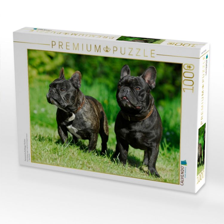 Produktbild: CALVENDO Puzzle Franz&ouml;sische Bulldogge P&auml;rchen | 1000 Teile Lege-Gr&ouml;&szlig;e 64x48cm Foto-Puzzle f&uuml;r gl&uuml;ckliche Stunden