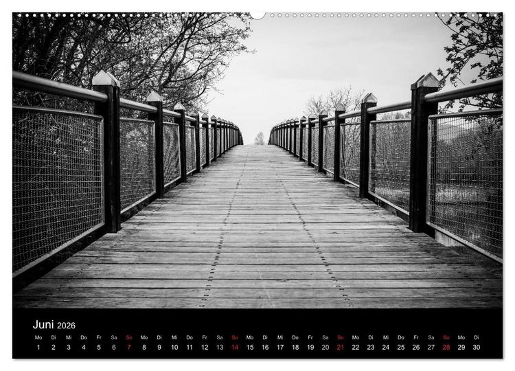 Produktbild: Monochrom 2026 (Wandkalender 2026 DIN A2 quer), CALVENDO Monatskalender